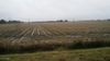00 Soldier Road photo